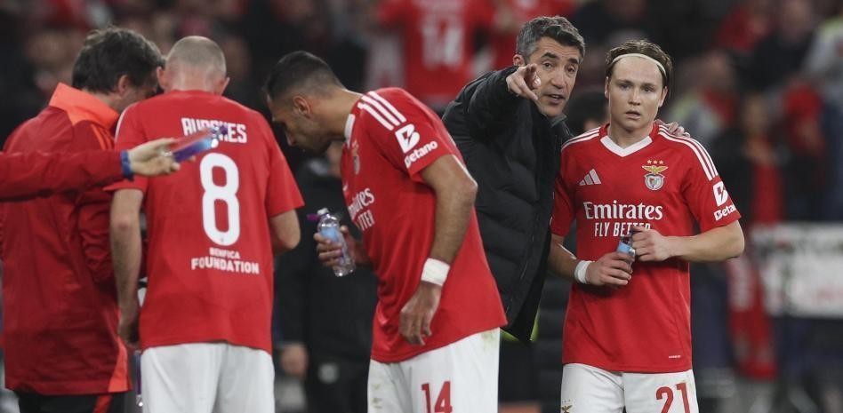 包含欧冠窗口期再迎强敌，本菲卡造点机会，主帅态度：管理层满意，身体对抗强度拉满的词条